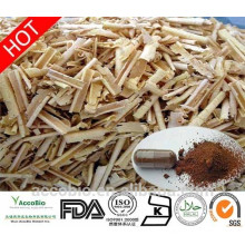 Wholesale Factory Supply 100% Natural Tongkat Ali Extract Powder 200:1